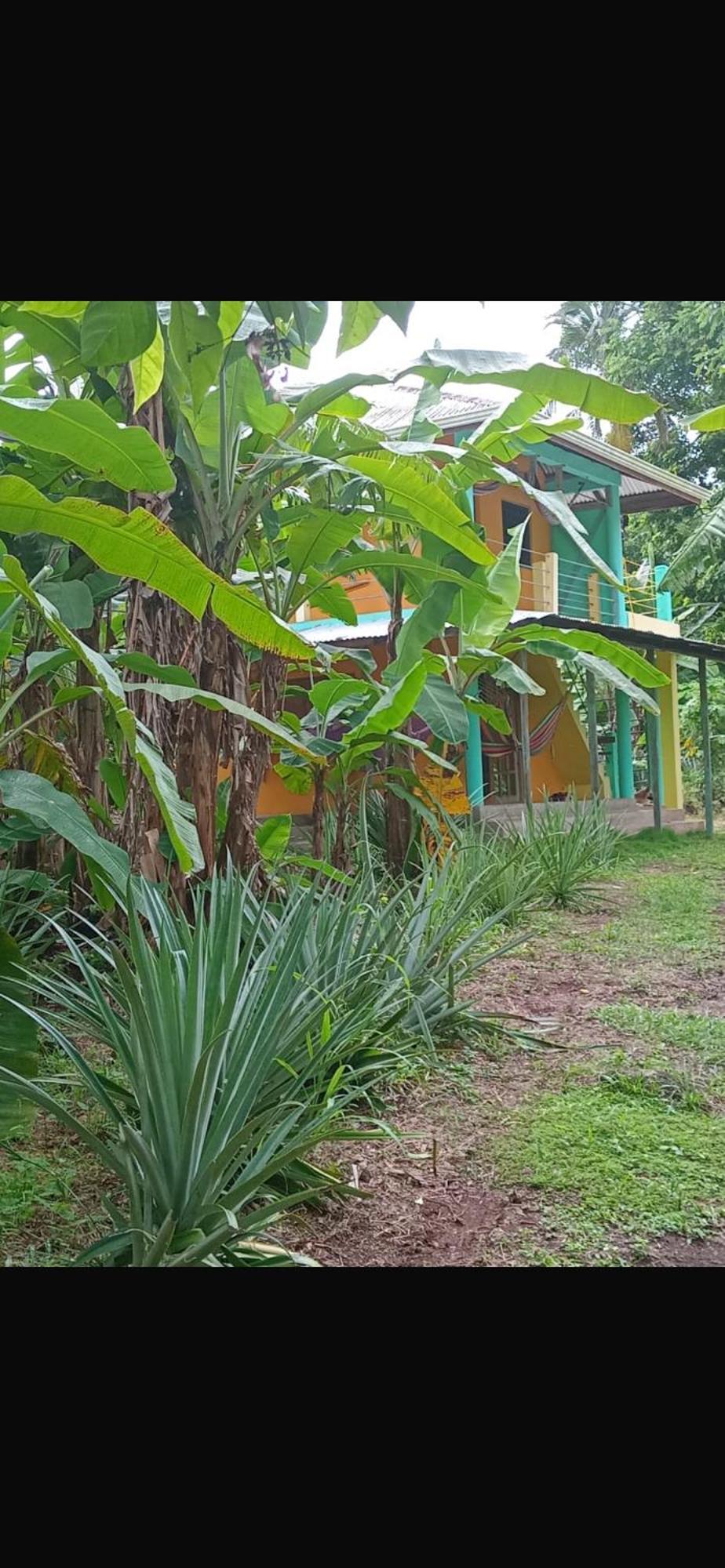The Orange House Villa South End Exterior photo